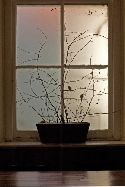 Hall-Richard-W-Eileen_s Window.jpg