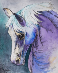 Pen-ink-and-watercolor-purple-horse