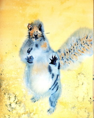 Mooching-Squirrel