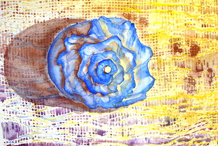 Rothey seashell