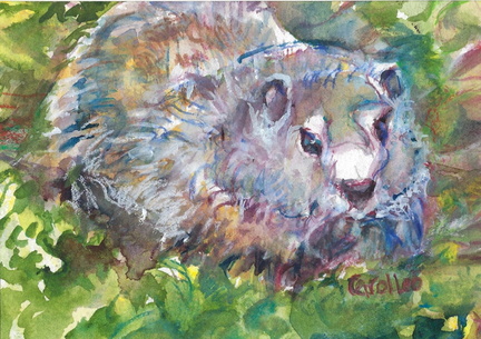 Groundhog2025