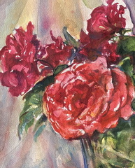 RosesVarious2025CROPPED