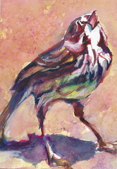 BirdSing2025