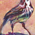 BirdSing2025