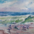 Leo PacificSurfEDITED