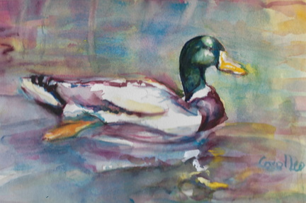 Duckonpastelpond2025