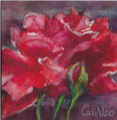 RoseonBrick2025CROPPED