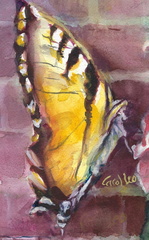 ButterflyonBrick2025