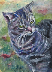 CarolLeo BackyardVisitor