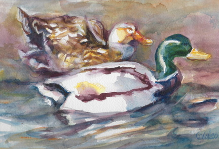 DuckPair2026