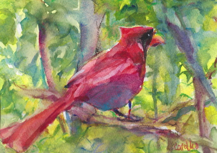 CardinalintheForest2026