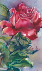 RoseResonance