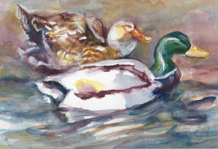 DuckDuo2026