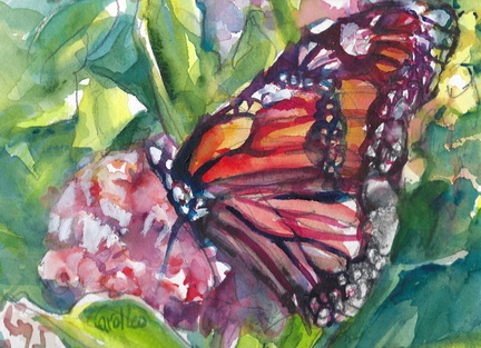 Monarch2026